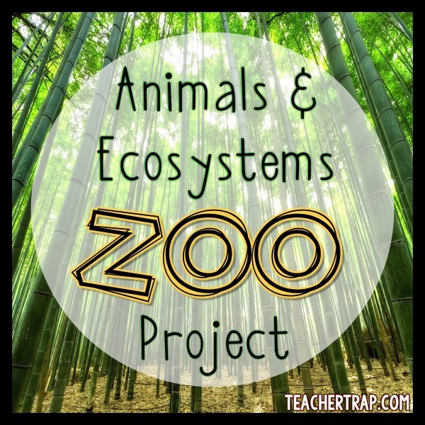 Animal Research and Ecosystem Project