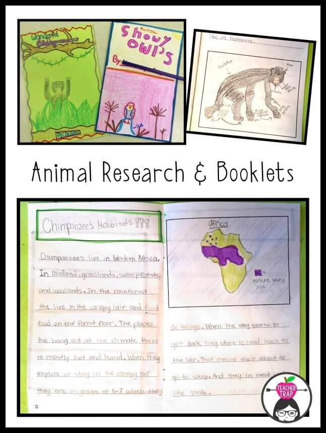 Animal Research