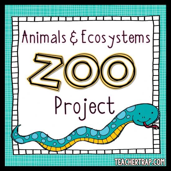 Animal and Ecosystem Zoo Project